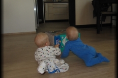 130917_7763_To&Ku